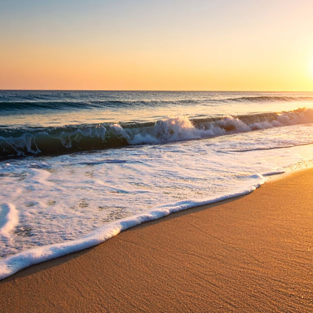 Fresh & Coastal